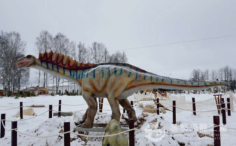 阿�R加�� Amargasaurus 5m.jpg