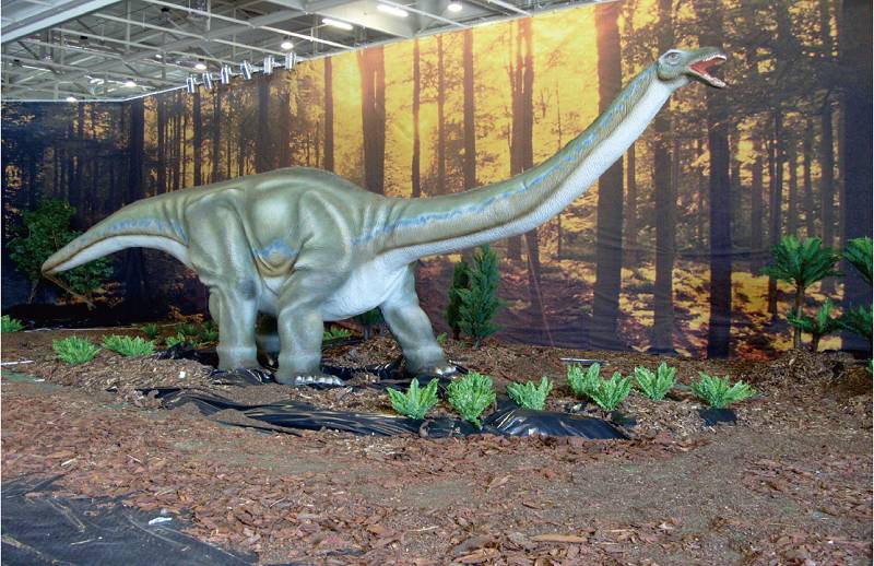 迷惑�� Apatosaurus 12m.jpg